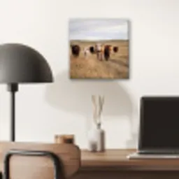 Runderen - Kudde - Landschap - Weide - Rustig aluminium wit klein -sfeer5