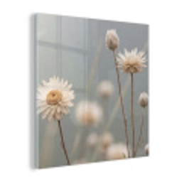 Strobloemen - Wit - Daglicht plexiglas 5mm klein -z3d
