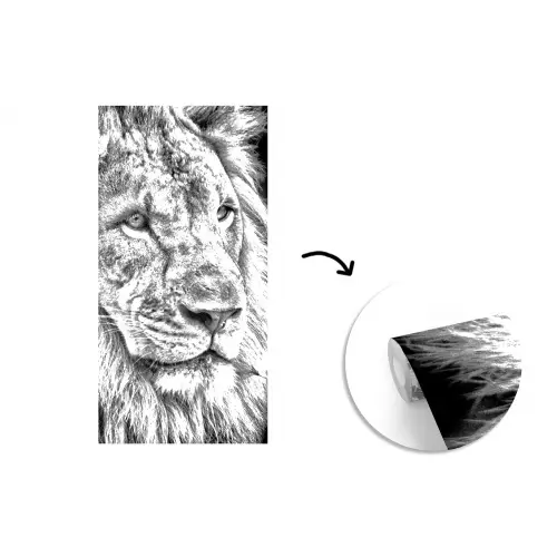 Portret - Leeuw - Zwart wit fotobehang vinyl groot -3d