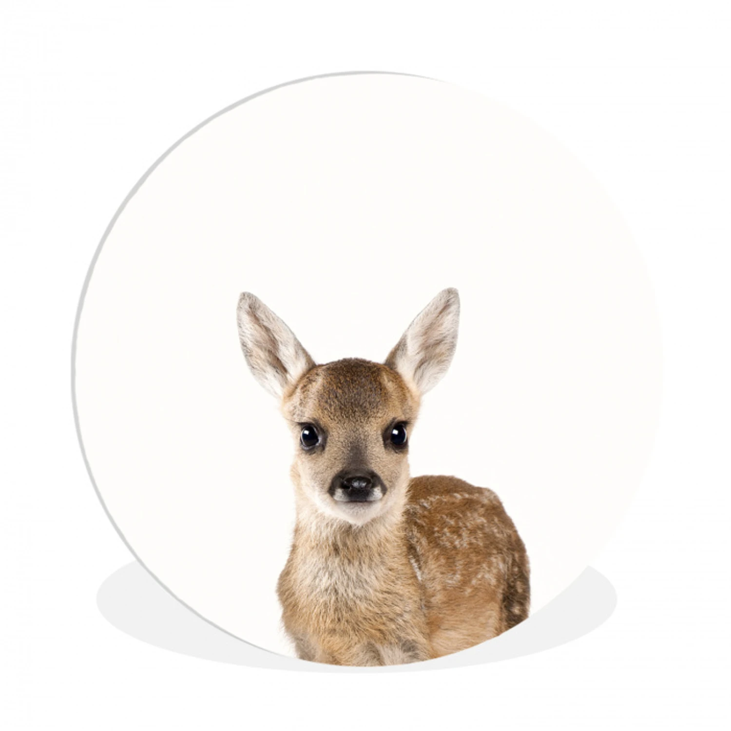 Dieren - Hert - Kinderen - Meisjes - Bosdieren Wandcirkel kunststof plaat 5mm dik klein -3d