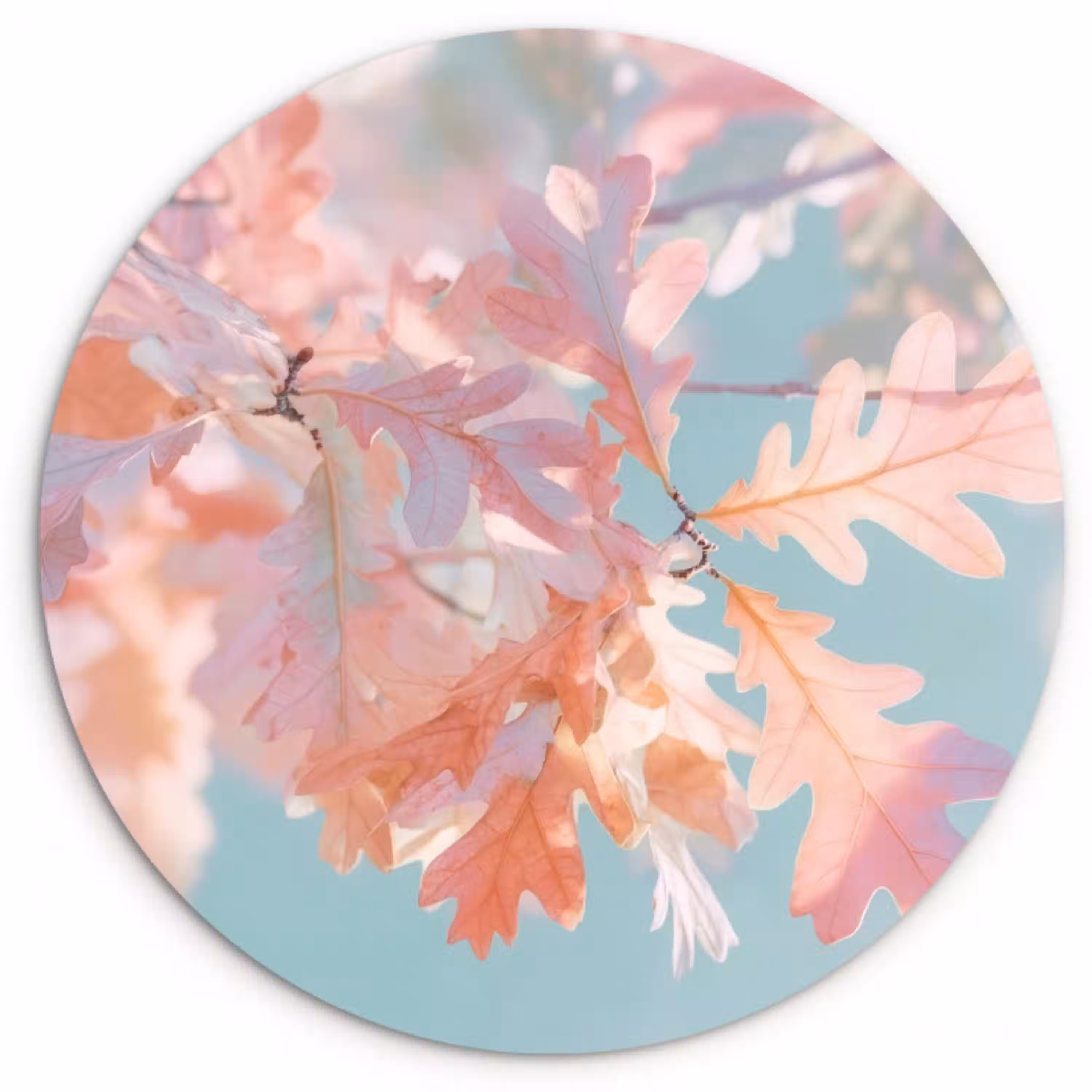 Eikenbladeren - Takken - Roze Wandcirkel kunststof plaat 5mm dik klein -3d