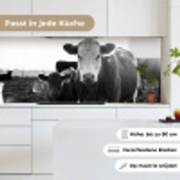 Koeien - Zwart - Wit keuken achterwand 2 middel -sfeer4_DE