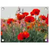 Klaproos - Bloemen - Rood - Paars - Weide tuinposter los doek klein -3d