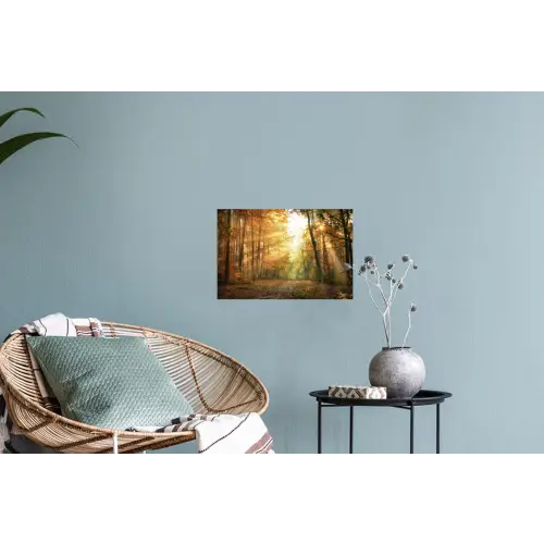 Bos - Herfst - Zon - Landschap - Natuur - Oranje Muursticker klein -plant