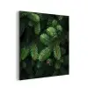 Sparrentakken - Knoppen - Naalden - Groen aluminium wit klein -3d