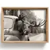 Eland - Auto - Gewei - Zwart - Wit Dienblad Rechthoek middel -z3d_shopping