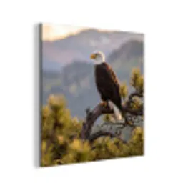 Zeearend - Boom - Bergen - Groen aluminium wit klein -3d