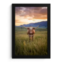 Longhorn - Landschap - Zonsondergang fotolijst zwart zonder passe partout klein -3d