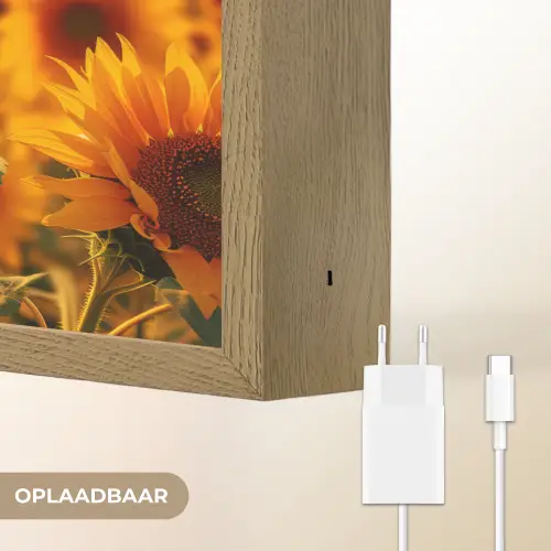 Zonnebloem - Bloemen - Geel - Bloemenveld met zonnebloemen Light Box met batterij (Wandlamp) middel -USP_websiteoplaadbaarNL