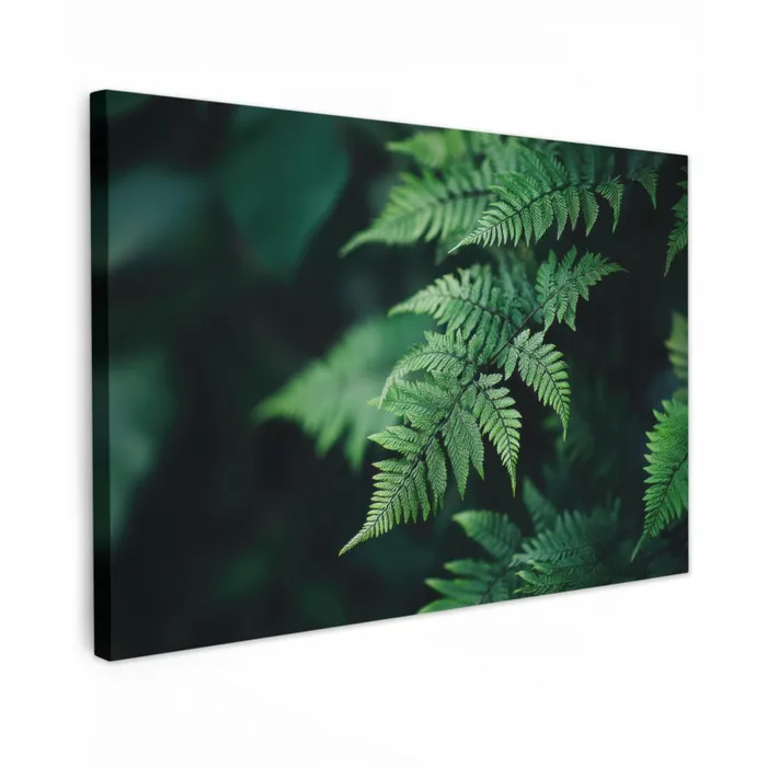 Varenblad - Groen - Structuur - Wazig canvas 2cm klein -z3d
