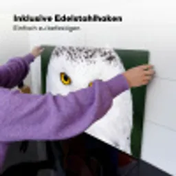 Sneeuwuil - Portret - Geel Inductie beschemer met haakjes klein -ky-ophangen-de