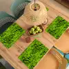 Groen - Zwart - Zebra Placemat vinyl groot 368 -zzsfeer5_Kitchenyeah-website