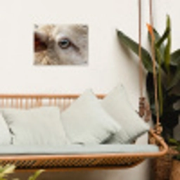 Schaap - Oog - Wit tuinposter los doek klein -sfeer7