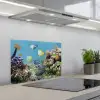Water - Koralen - Vissen - Lichtinval keuken achterwand spatscherm klein -3d_schuin