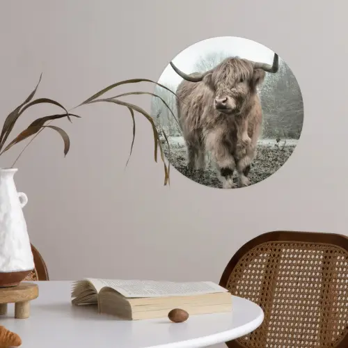 Schotse hooglander - Natuur - Herfst - Dieren - Wild - Bos Wandcirkel behangsticker klein -sfeer3