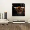 Schotse Hooglander - Horens - Zwart - Dieren - Natuur - Wild - Koe plexiglas 5mm klein -sfeer1