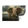 Afrikaanse olifant tegen de donkere wolken Muursticker klein -3d