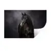 Portret - Paard - Zwart Muursticker klein -3d