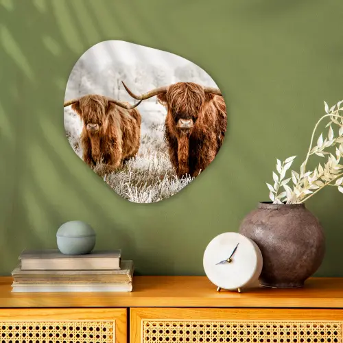 Schotse hooglander - Koe - Dieren - Natuur - Heide Wandcirkel Organisch Forex 3mm klein -sfeer2
