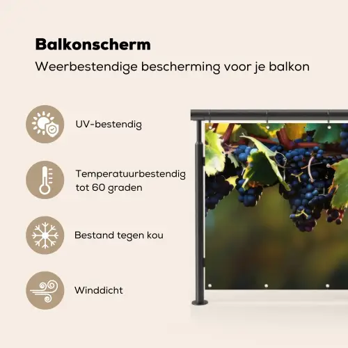 Druiven - Wijn - Natuur - Groen Balkonbeschermer Duitsland klein -specs_NL