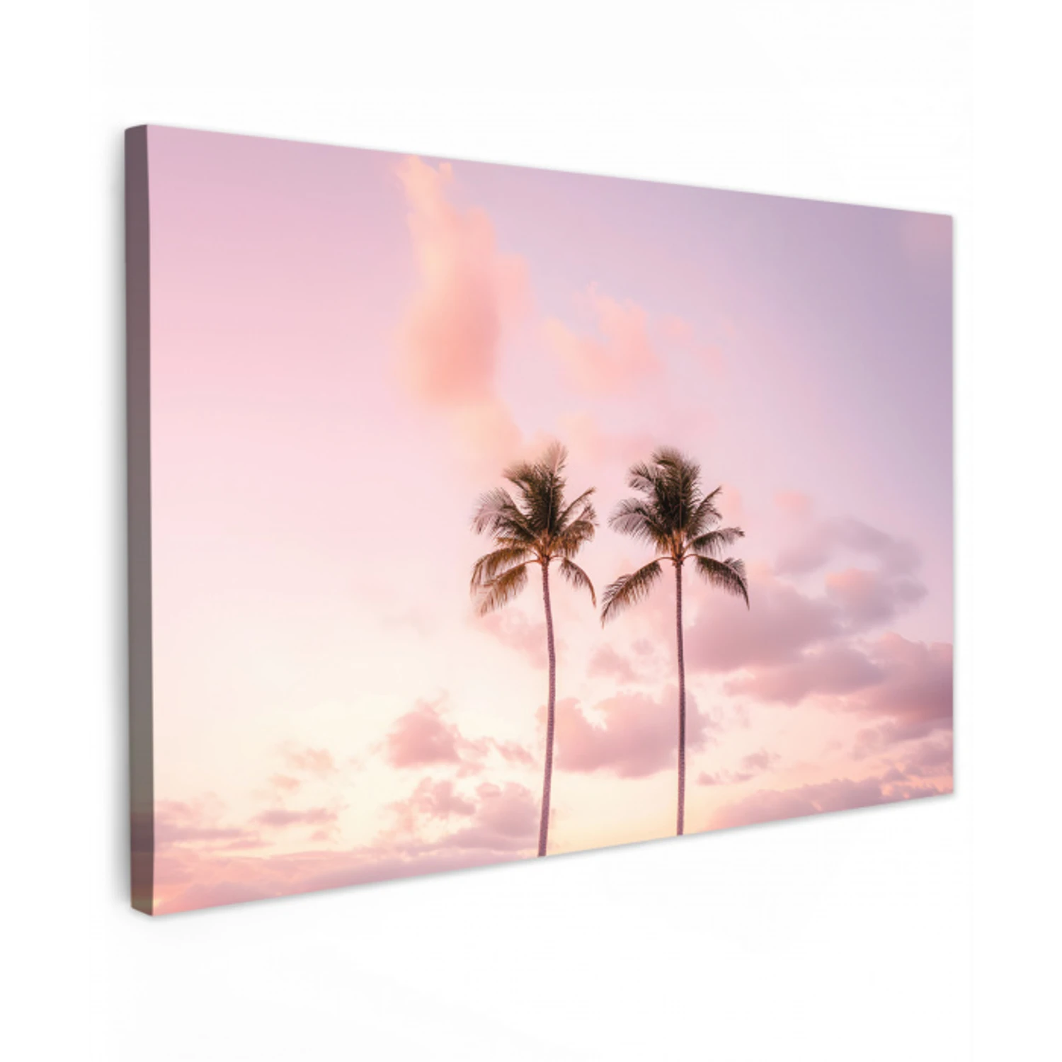 Palmbomen - Paars - Wolken - Lucht canvas 2cm klein -z3d