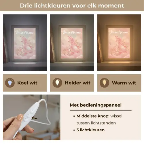 Eenhoorn - Wolken - Roze Light Box met kabel (Kinderlampje) klein -USP_lichtkleurNL