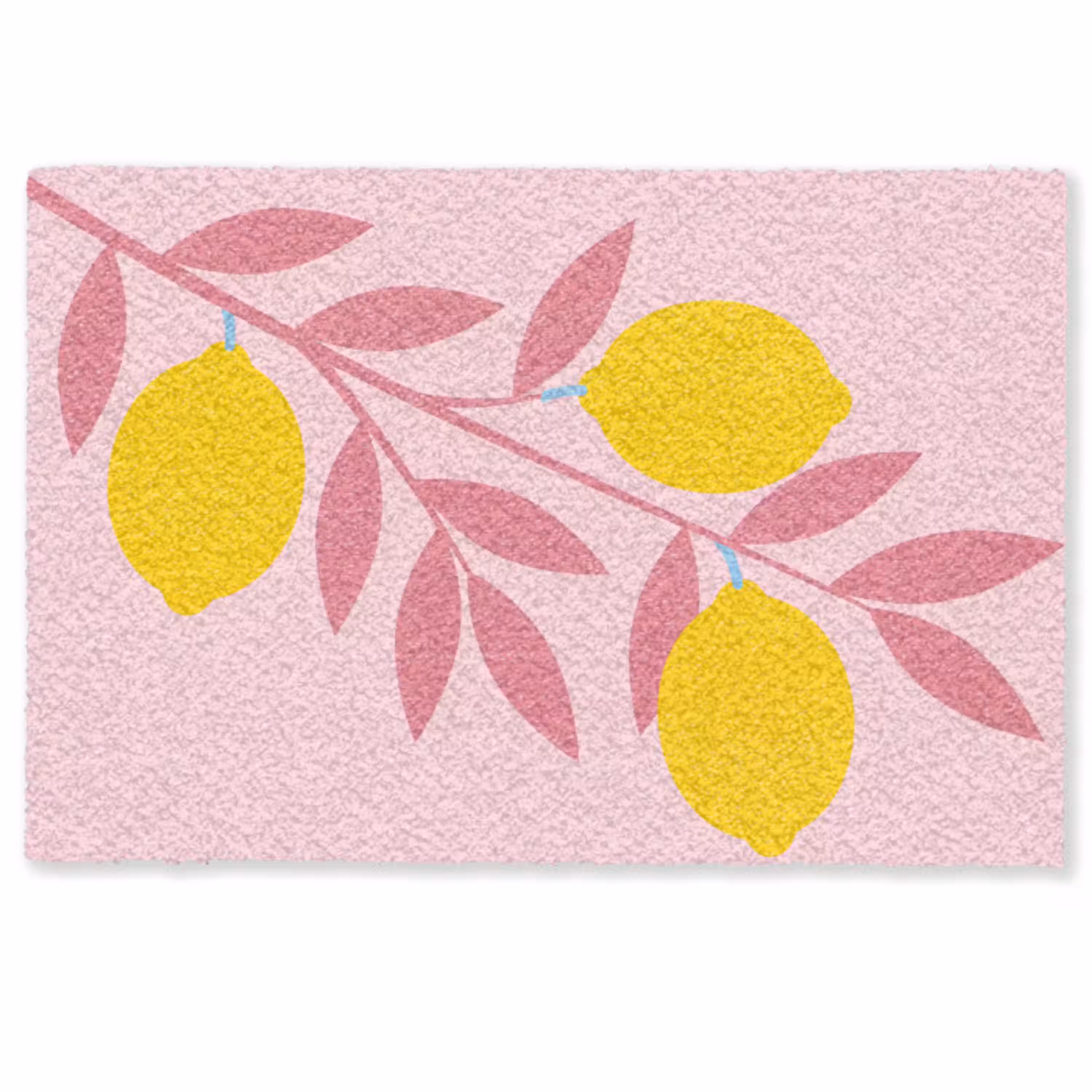 Fruit - Tak - Natuur - Abstract - Roze Deurmat klein -zkaufland3d