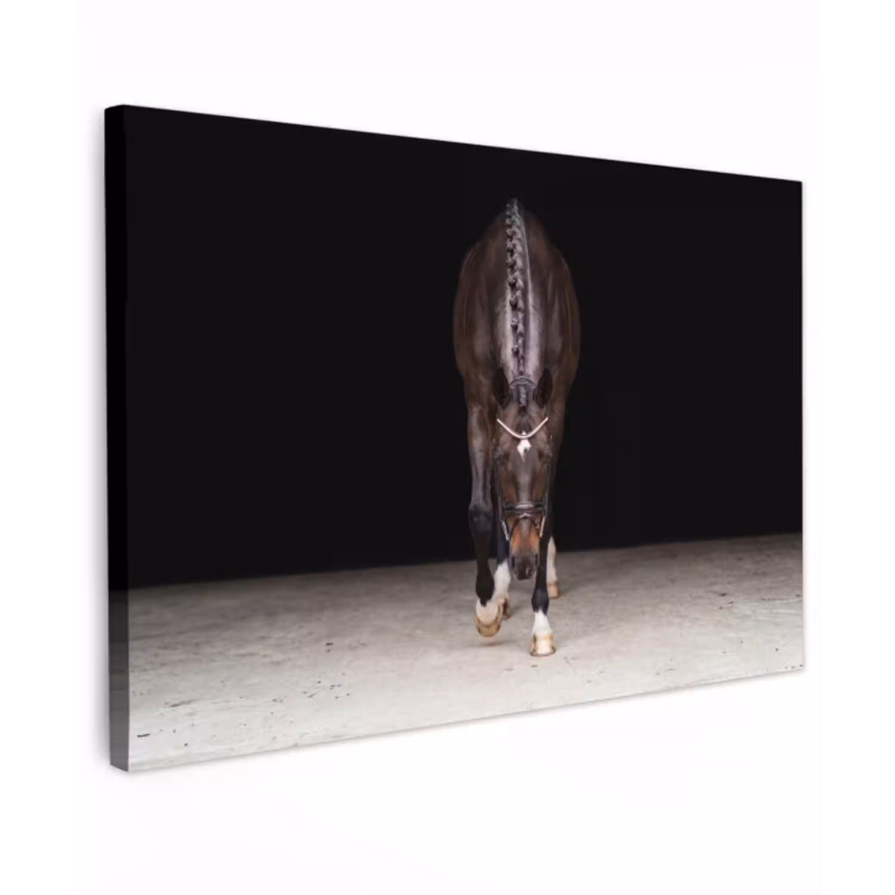 Paard - Modern - Portret Tuinposter op houten frame 2 cm dik klein -3d