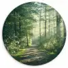 Bos - Pad - Zon - Bomen - Groen - Natuur Wandcirkel kunststof plaat 5mm dik klein -3d