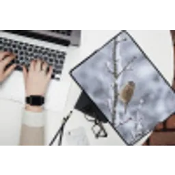 Vogel - Tak - Sneeuw - Winter laptophoes neopreen klein -bureau