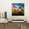 Klaprozen - Toscane - Zon - Rood - Blauw aluminium wit klein -sfeer1