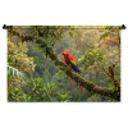 Ara - Jungle - Rood Wandkleed katoen middel -zz3d