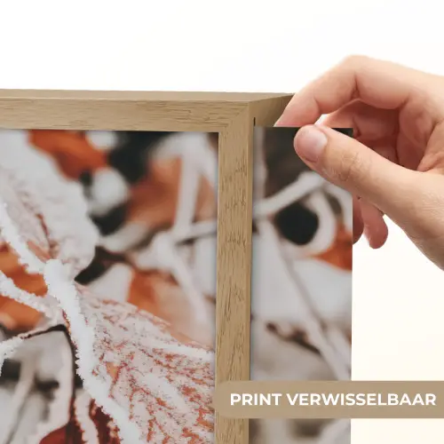 Bladeren - IJs - Winter - Natuur Light Box met batterij (Wandlamp) middel -USP_websiteprintNL