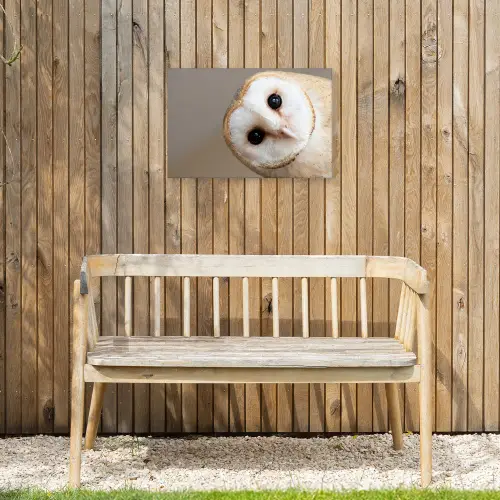 Uil - Bruin - Wit Tuinposter op houten frame 2 cm dik klein -sfeer4