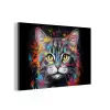 Kat - Graffiti - Dieren - Kleuren - Grijs aluminium wit klein -3d
