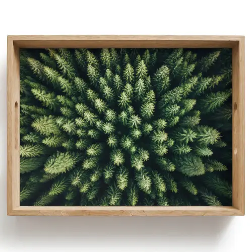 Bomen - Naaldwoud - Structuur Dienblad Rechthoek middel -z3d_shopping