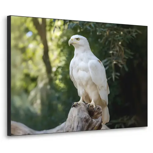 Arend - Hout - Wit - Planten Textielframe zwart klein -3d