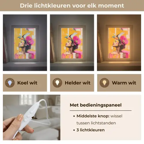 Vogel - Vrouw - Abstract - Bloem Light Box met kabel (Tafellamp) klein -USP_lichtkleurNL