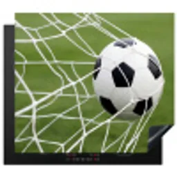 Voetbal - Goal - Net - Sport Inductie beschermer vinyl 3mm middel -3d