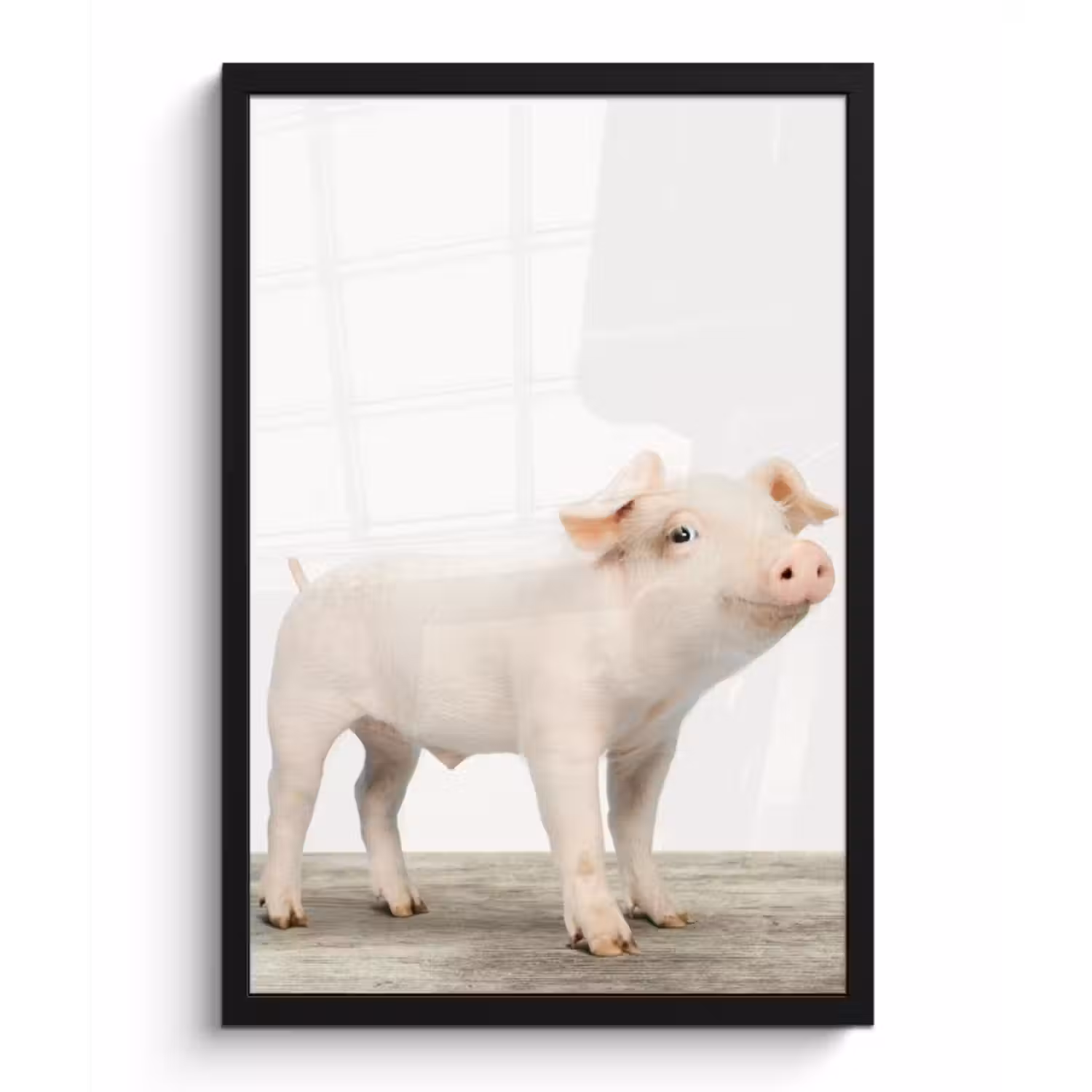 Poster met lijst - Varkentje - Big - Dieren - Roze - Jongens - Meisjes - Kinderen