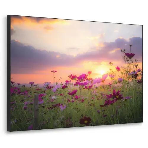 Bloemen - Roze - Zonsondergang - Natuur - Weide - Horizon Textielframe zwart klein -3d