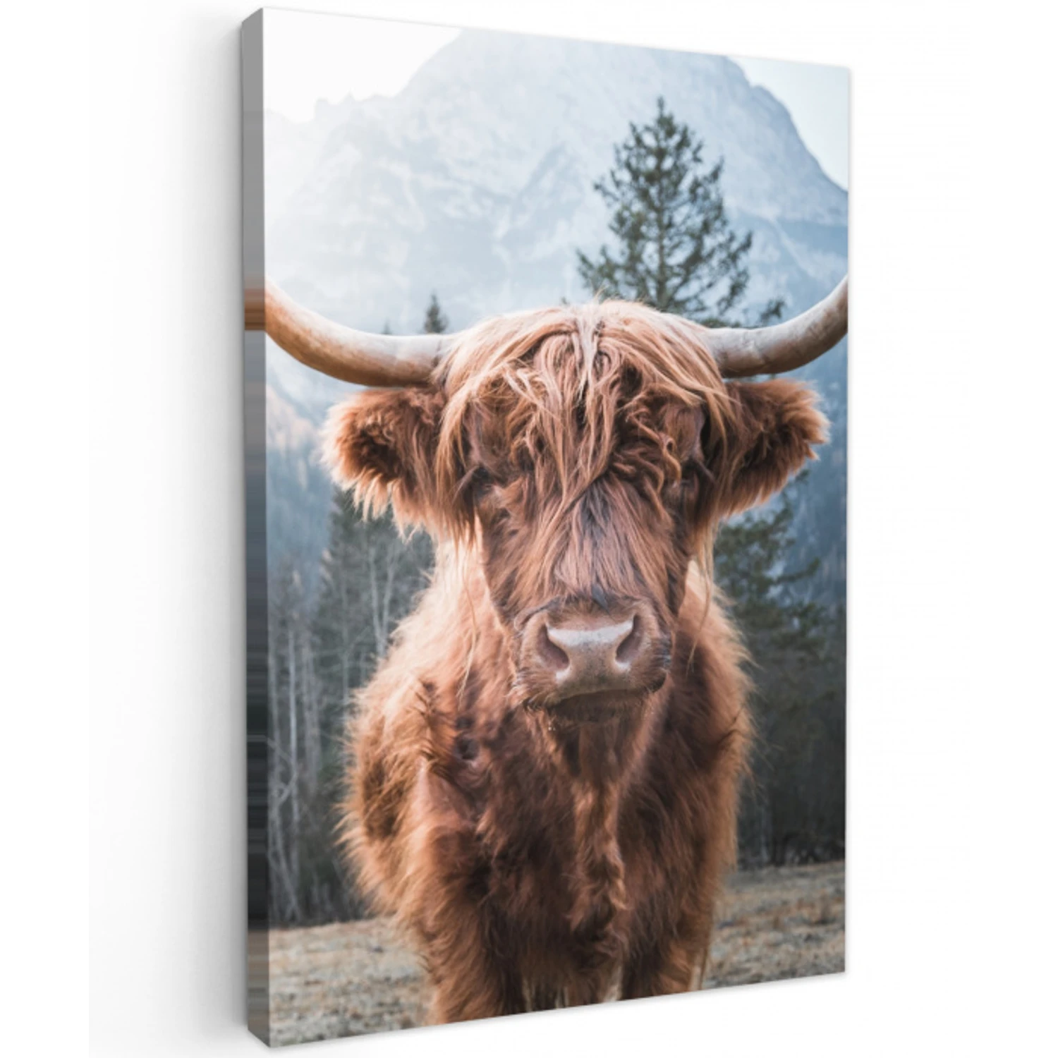 Imposante Hooglander in de Natuur Tuinposter op houten frame 2 cm dik klein -3d