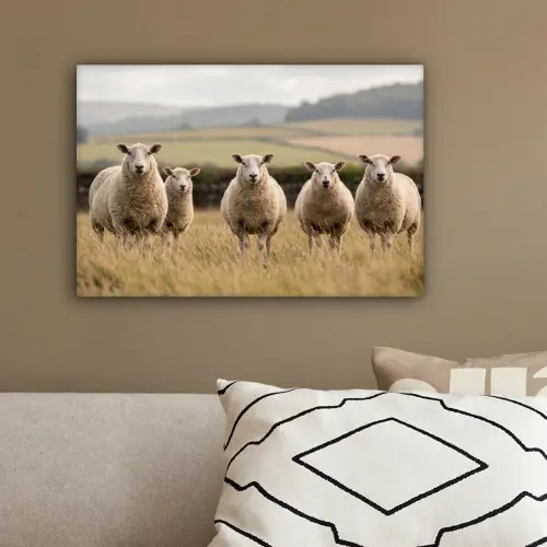 Schapen - Weidenlandschap - Heuvels canvas 2cm klein -sfeer3