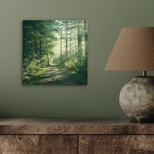 Bos - Pad - Zon - Bomen - Groen - Natuur aluminium wit klein -sfeer2