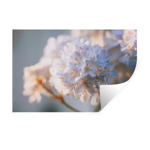 Bloemen - Lichtblauw - Wazig - Trosje Muursticker klein -3d