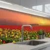Bloemen - Landschap - Tulpen - Zonsondergang keuken achterwand 2 middel -3d_schuin