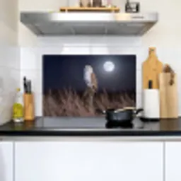 Kerkuil - Maan - Nacht Inductie beschemer met haakjes klein -sfeer2