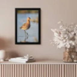 Vogel - Steltloper - Water - Natuur fotolijst zwart zonder passe partout klein -sfeer5
