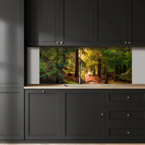 Bos - Pad - Bomen - Groen - Zon - Natuur keuken achterwand 2 middel -sfeer1
