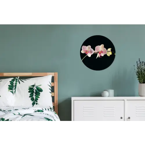 Orchidee - Bloemen - Zwart - Roze - Knoppen Wandcirkel aluminium klein -slaapkamer